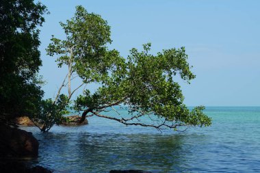 Tanjung Tuan, Port Dickson, Malezya Sahili manzaralı