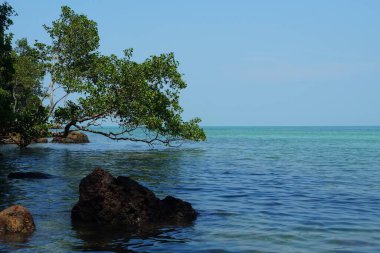 Tanjung Tuan, Port Dickson, Malezya Sahili manzaralı