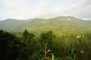 Güneydoğu Asya 'nın en yüksek şelalesi olan Gunung Stong Şelalesinin manzarası, Dabong bölgesinde, Kelantan, Malezya
