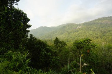 Güneydoğu Asya 'nın en yüksek şelalesi olan Gunung Stong Şelalesinin manzarası, Dabong bölgesinde, Kelantan, Malezya