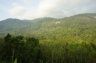 Dabong, Kelantan, Malezya 'daki Gunung Stong şelalesinin manzarası