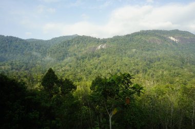 Dabong, Kelantan, Malezya 'daki Gunung Stong şelalesinin manzarası