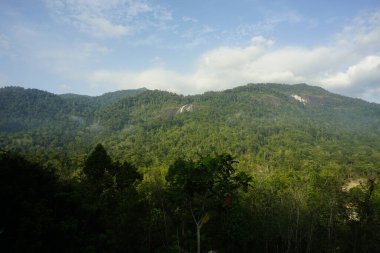 Dabong, Kelantan, Malezya 'daki Gunung Stong şelalesinin manzarası