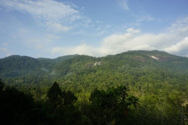 Dabong, Kelantan, Malezya 'daki Gunung Stong şelalesinin manzarası