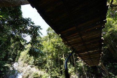 Gunung Stong şelalesinde asma köprü, Dabong, Kelantan, Malezya