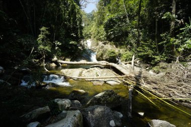 Gunung Stong şelalesinde asma köprü, Dabong, Kelantan, Malezya