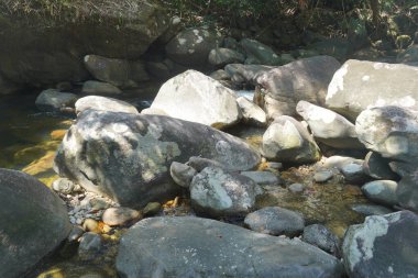 Kelantan 'ın Dabong ilçesindeki şelale manzarası