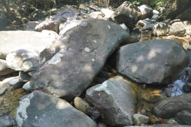 Kelantan 'ın Dabong ilçesindeki şelale manzarası