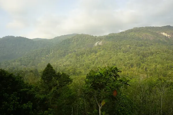 Güneydoğu Asya 'nın en yüksek şelalesi olan Gunung Stong Şelalesinin manzarası, Dabong bölgesinde, Kelantan, Malezya