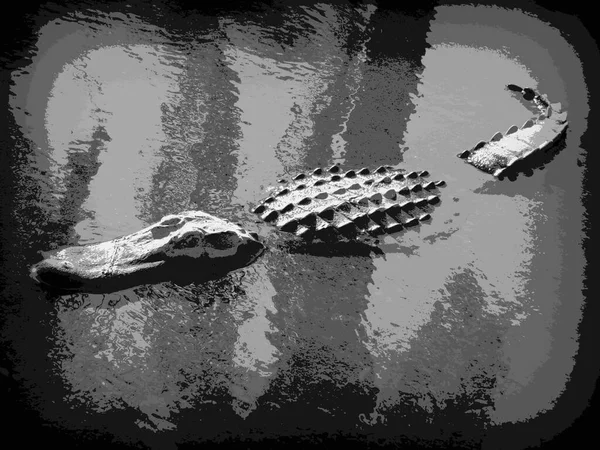 Aligator Wodzie Stylu Bitmap — Zdjęcie stockowe