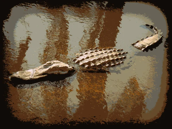 Alligatore Acqua Stile Bitmap — Foto Stock