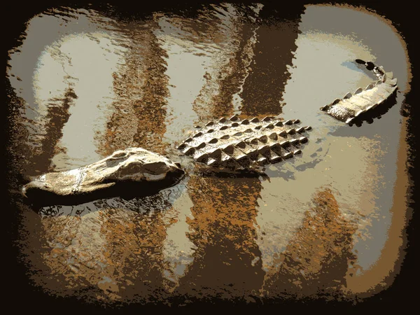 Aligator Wodzie Stylu Bitmap — Zdjęcie stockowe