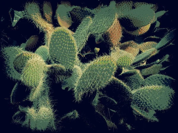 Egészséges Kaktusz Virágos Illusztrációban Bitmap Stílusban — Stock Fotó