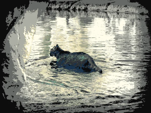 Kot Dżungli Przechodzący Przez Jezioro Ilustracja Stylu Bitmap — Zdjęcie stockowe