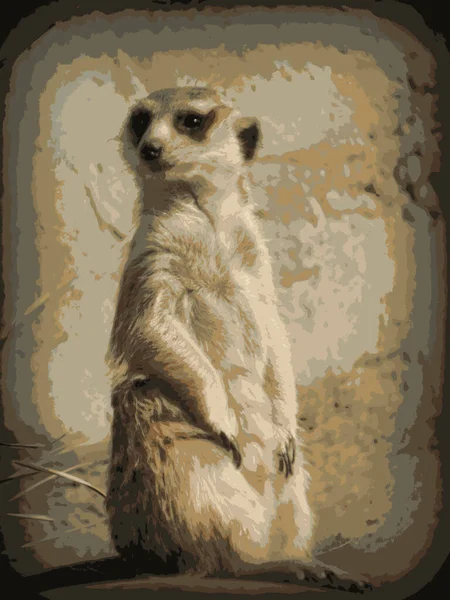 Meerkat Dans Une Pose Style Bitmap — Photo