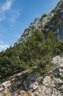 İspanya 'nın Mallorca tatil adasında Akdeniz manzarası.
