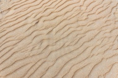 NETHERLANDS - 23. Çeviri: nazo82 Mayıs 2024. Kuzey Denizi sahilinde dalga izleri