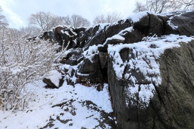 Central Park, ağaçlarla, patikalarla ve kış gökyüzünün altında parlayan banklarla kaplıydı. Huzurlu manzara, soğuk mevsim boyunca New York City sembolik parkının huzurlu güzelliğini yansıtıyor. Huzuru ve mevsimsel cazibeyi çağrıştırıyor..