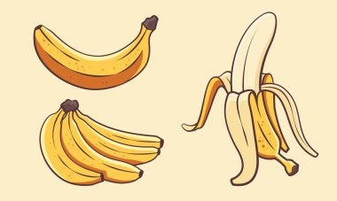 Muz vektör çizimi. Muz meyve tasarımı için uygun. Muz çizgi filmi düz çizim.