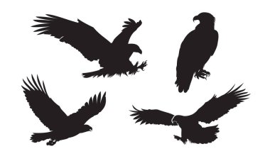 Eagle silhouette vector illustration. Flying eagle cartoon element. Suitable for bird drawing element. clipart