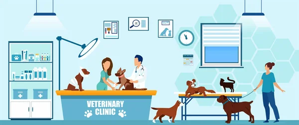 Vector Veterinarian His Assistant Taking Care Dogs Cats Vet Clinic — Stock Vector
