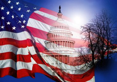 Amerikan Bayrağı, Amerikan Kongre Binası ile birleşmiş