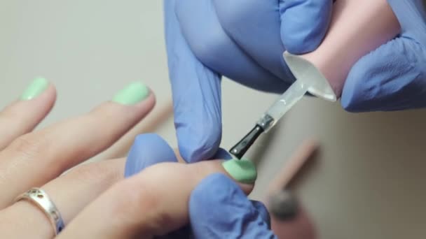 Maniküre Poliert Nägel Professionelle Maniküre Service Nagelkünstler Lackiert Nägel Mit — Stockvideo