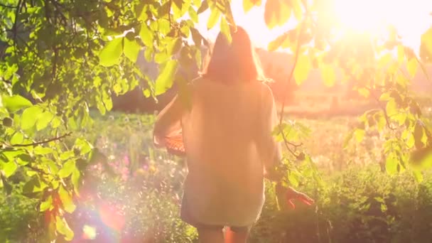Wanita Ceria Dengan Keranjang Berjalan Sepanjang Taman Saat Matahari Terbenam — Stok Video