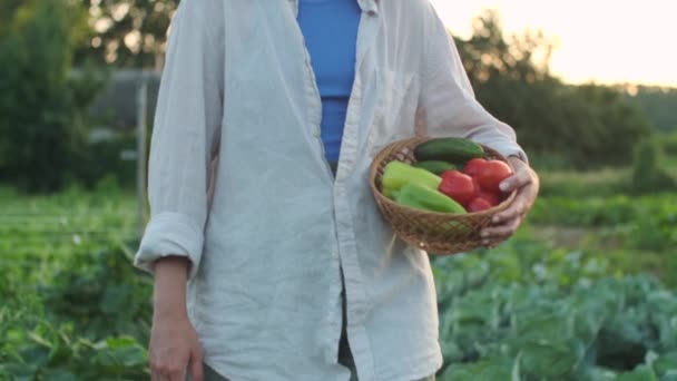 Kobieta Trzyma Kosz Świeżymi Warzywami Kobieta Rolnik Niosący Pudełko Świeżo — Wideo stockowe