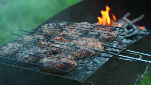 烤鸡腿和香肠 生烤鸡肉 炭汁烤鸡 有香料 有烟熏的烧烤门 — 图库视频影像