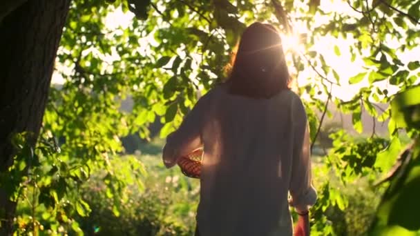 Χαρούμενη Γυναίκα Καλάθι Που Περπατά Κατά Μήκος Του Κήπου Ηλιοβασίλεμα — Αρχείο Βίντεο