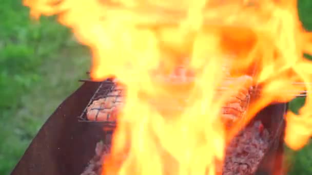 ローストチキンの太さとソーセージ グリル屋外で焼いた鶏肉 火炎のスパイスと炭ジュースバーベキューチキン — ストック動画