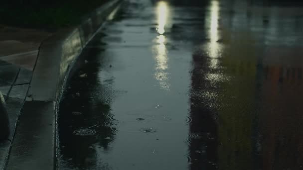 Csepegő Esőcseppek Egy Pocsolyában Úton Nehéz Vízcseppek Hullanak Aszfaltra Naplemente — Stock videók