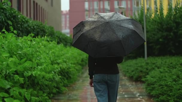 Kobieta Parasolem Chodząca Pod Deszczem Deszczowy Letni Dzień Ulewnym Deszczem — Wideo stockowe