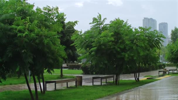 街の雨の日でした 住宅地の庭 空の通りでの夏の雨 緑の木の草や茂みのあるレクリエーションゾーンでの屋外の雨の風の天気の眺め — ストック動画