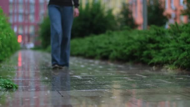 Mujer Con Paraguas Caminando Bajo Lluvia Niña Sosteniendo Pasos Paraguas — Vídeos de Stock