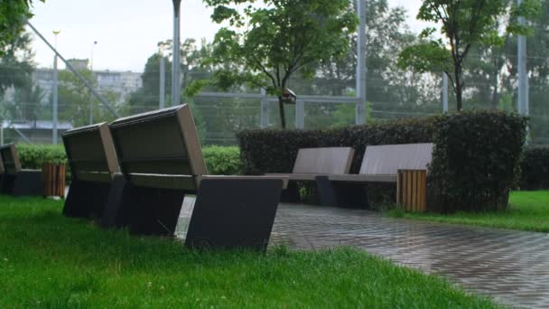 街の雨の日でした ベンチ付きの屋外レクリエーションゾーンの眺め 緑の木の草や茂み 住宅地の庭で雨天 サマーレイン — ストック動画