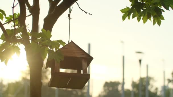 バードハウスは木に掛けられていた 手作りの鳥箱は 太陽の下で風で振動し 木製の鳥の送り装置 スターリングボックスを作りました スローモーション — ストック動画