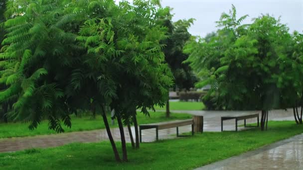 Şehirde Yağmurlu Bir Gün Konut Alanının Bahçesinde Açık Hava Yağmuru — Stok video