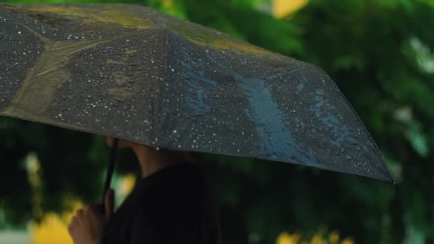 Krople Deszczu Spadające Czarny Parasol Chmurna Pora Deszczowa Deszczem Krople — Wideo stockowe