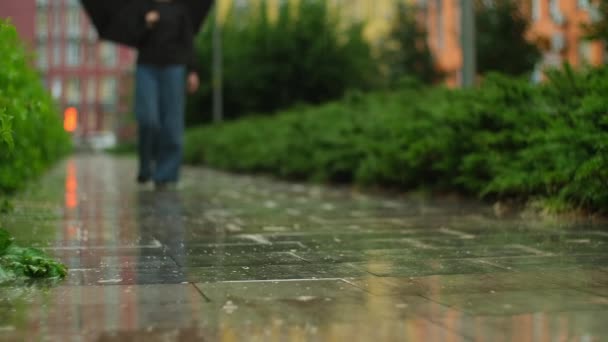 女人拿着雨伞 在雨中散步 在穿过城市的湿路上 女性轮廓与阳伞台阶 多雨的夏日 慢动作 — 图库视频影像