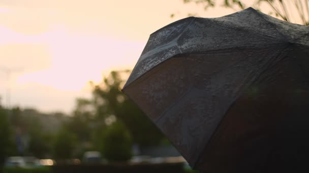 열려있는 우산에 떨어지는 비방울 우산에 물방울의 샤워와 — 비디오