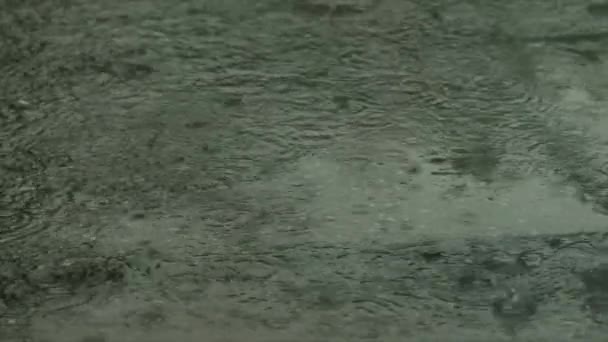 雨滴滴滴在路上的水坑里 重水滴落在沥青路面上 阴冷的雨天 多雨的季节 高质量的4K镜头 — 图库视频影像