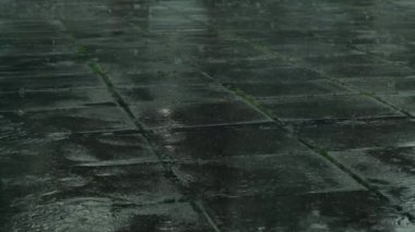 Su birikintisine damlayan yağmur damlaları. Yolda asfalta düşen ağır su damlacıkları. Soğuk yağmurlu hava, fırtınalı mevsim, depresif melankolik ruh hali. Yüksek kalite 4k görüntü