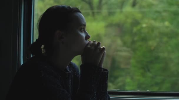 一个心事重重的女人坐在火车窗边 从火车窗口眺望自然景观 一个孤零零的旅客坐在车厢里高质量的4K镜头 — 图库视频影像