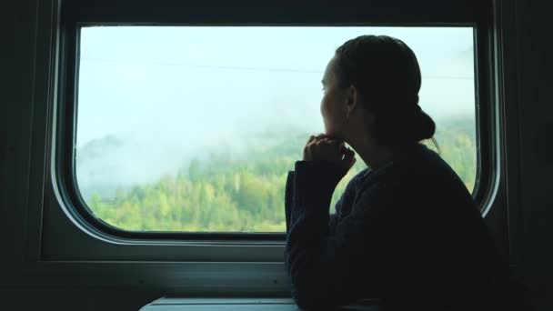 Jovencita Tren Feliz Mujer Vagabunda Mirando Las Montañas Través Ventana — Vídeos de Stock