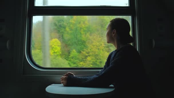 電車の中で幸せな女性 列車の窓から山を眺め 山頂の霧を楽しむ女性旅行者 自然の風景 高品質の4K映像 — ストック動画