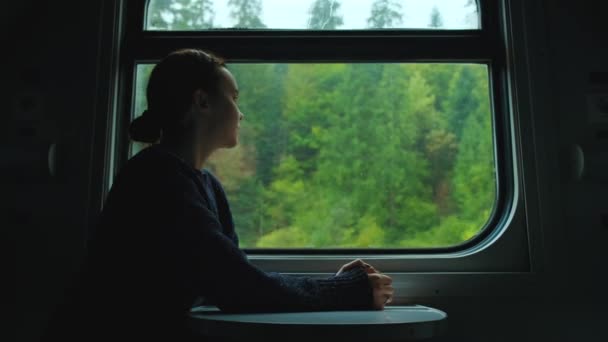 Mujer Joven Tren Disfrutando Vista Naturaleza Niña Mirando Las Montañas — Vídeos de Stock