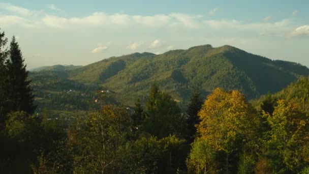 Dağın Tepesinin Manzarası Sonbaharda Karpat Dağları Geniş Yemyeşil Vadi Ormanlarıyla — Stok video