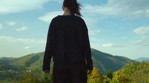 Het Meisje Klimt Graag Berg Vrouwelijke Reiziger Staat Top Van — Stockvideo